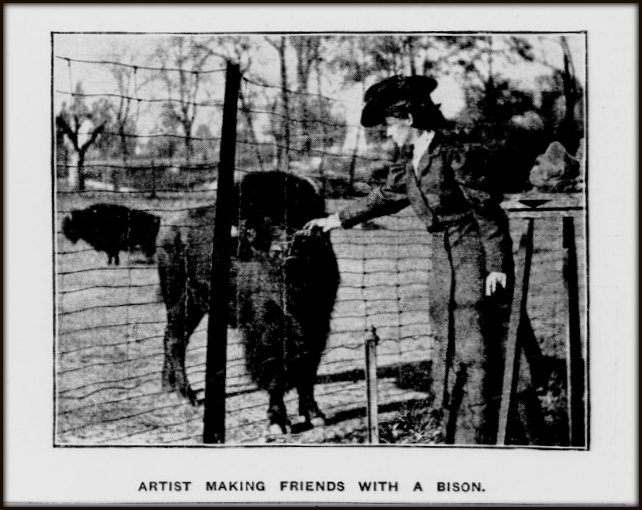 AHH with bison at the Bronx Zoo. New-York Tribune, February 4, 1906.