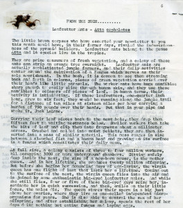 Belize Zooletter article on leafcutter ants with ants taped to the page