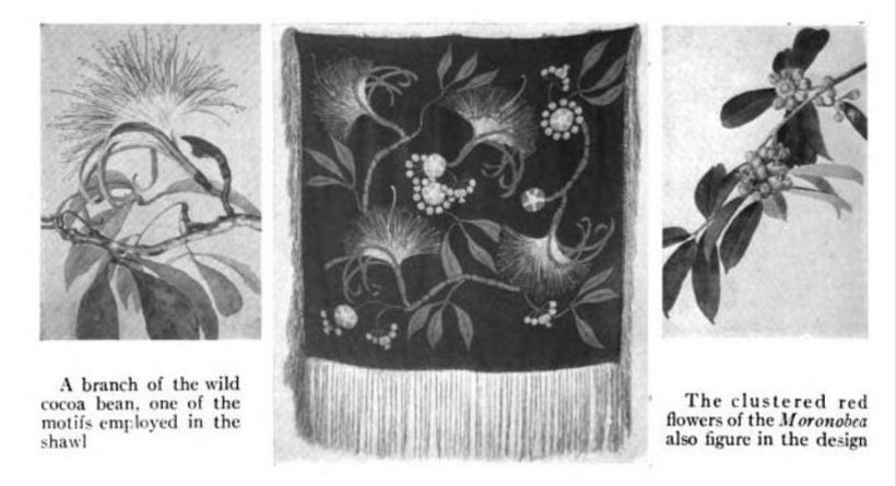 Taylor textile shown at the American Museum of Natural History. From the Museum's journal, Natural History, 1922