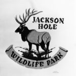 Wildlife Conservation Society_24782_Jackson Hole Wildlife Park Drawing by Lloyd Sanford_01 02 53