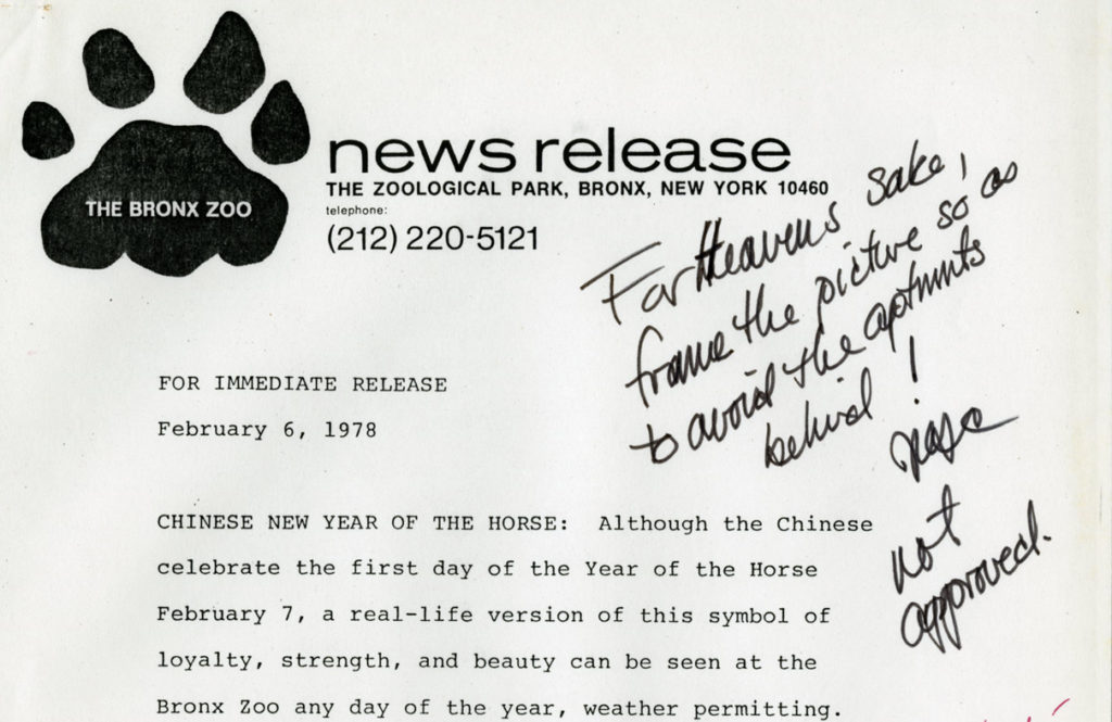 Correspondence, typed memoranda, and handwritten notes frequently appear in the press release files. This draft of the “Chinese New Year of the Horse” press release, accompanies the edited photograph featured below. The annotations here are from General Director, William Conway. Press release February 6, 1978. Scanned from WCS Archives Collection 2032.